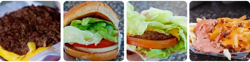 in n out secret menu Protein Style Burger, Animal Style Fries, Flying Dutchman, & Veggie Burger