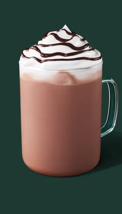 starbucks mocha drinks